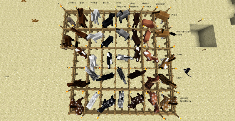 800px-HorseBreeds.png