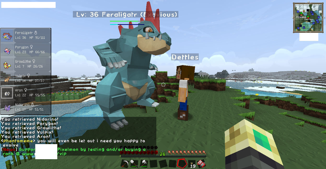 dettsandpoke.png