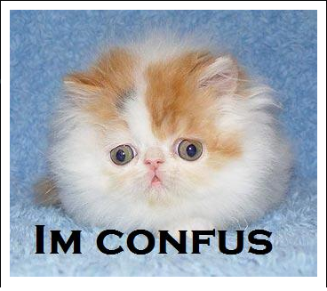 I+m+so+confused+right+now+_f0f28f08df548a6e307952cfdb333401.png