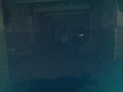 asylum7.jpg